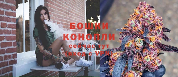 прущие крисы Медвежьегорск