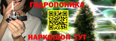 скорость Владимир