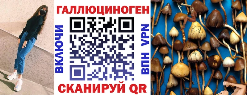 Псилоцибиновые грибы мицелий  Моршанск 