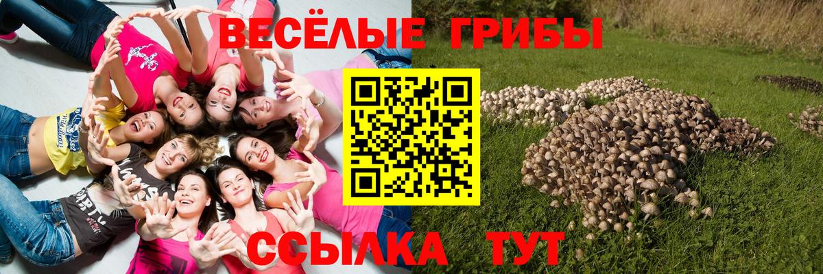 Моршанск  Галлюциногенные грибы прущие грибы  Псилоцибиновые грибы Psilocybe  Вход с VPN 