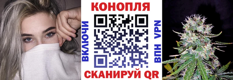 Шишки марихуана LSD WEED  где можно купить   Моршанск 